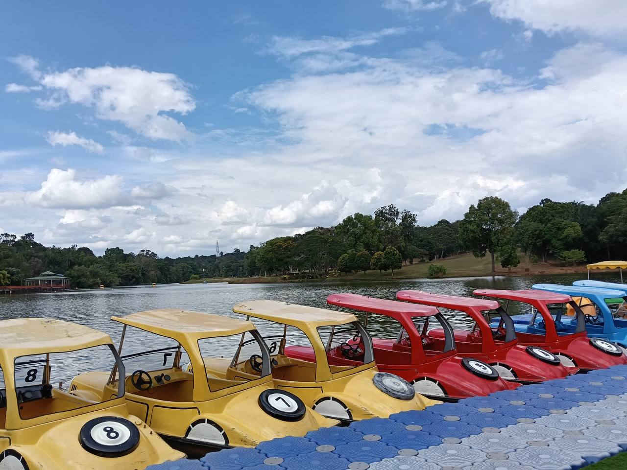 Paddle boats at the lake